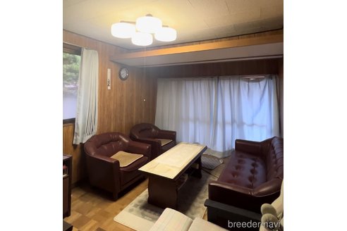 西井ひかりブリーダーの詳細