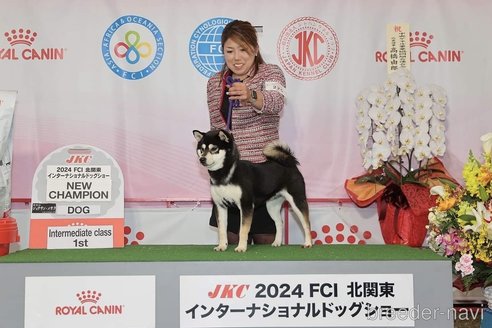 横田幸治ブリーダーの詳細