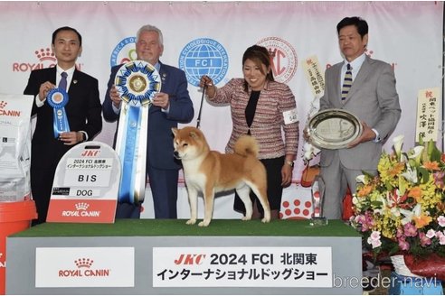 横田幸治ブリーダーの詳細