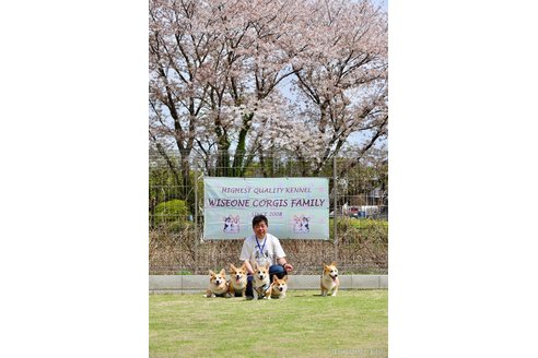 早瀬行雄ブリーダーの詳細