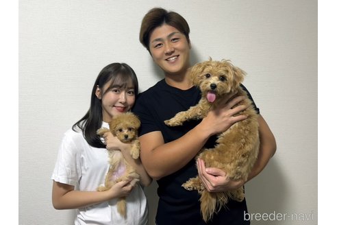 小川智美ブリーダーの詳細