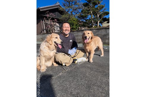 宮崎大策ブリーダーの詳細