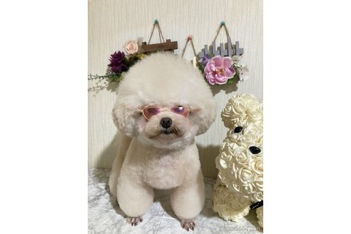 西村久之ブリーダーの詳細