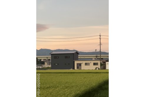 梅順一郎ブリーダーの詳細