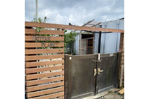 宮城レチシアブリーダーの詳細