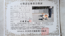 母親犬
