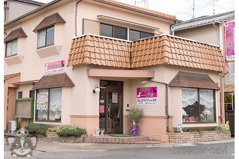 小畑さゆりブリーダーの詳細