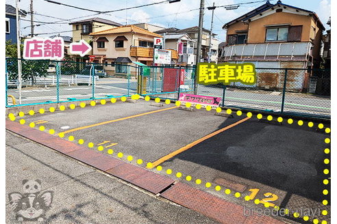 小畑さゆりブリーダーの詳細