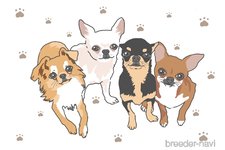 森田理恵ブリーダー