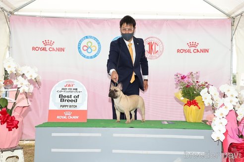 和泉拓人ブリーダーの詳細の1枚目