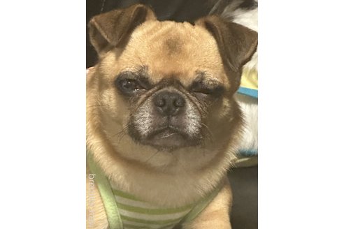 末﨑啓文ブリーダーの詳細の1枚目