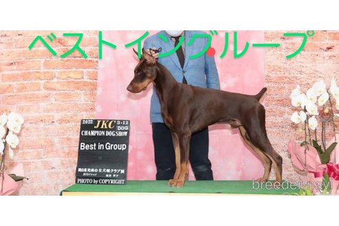川村雅彦ブリーダーの詳細の1枚目