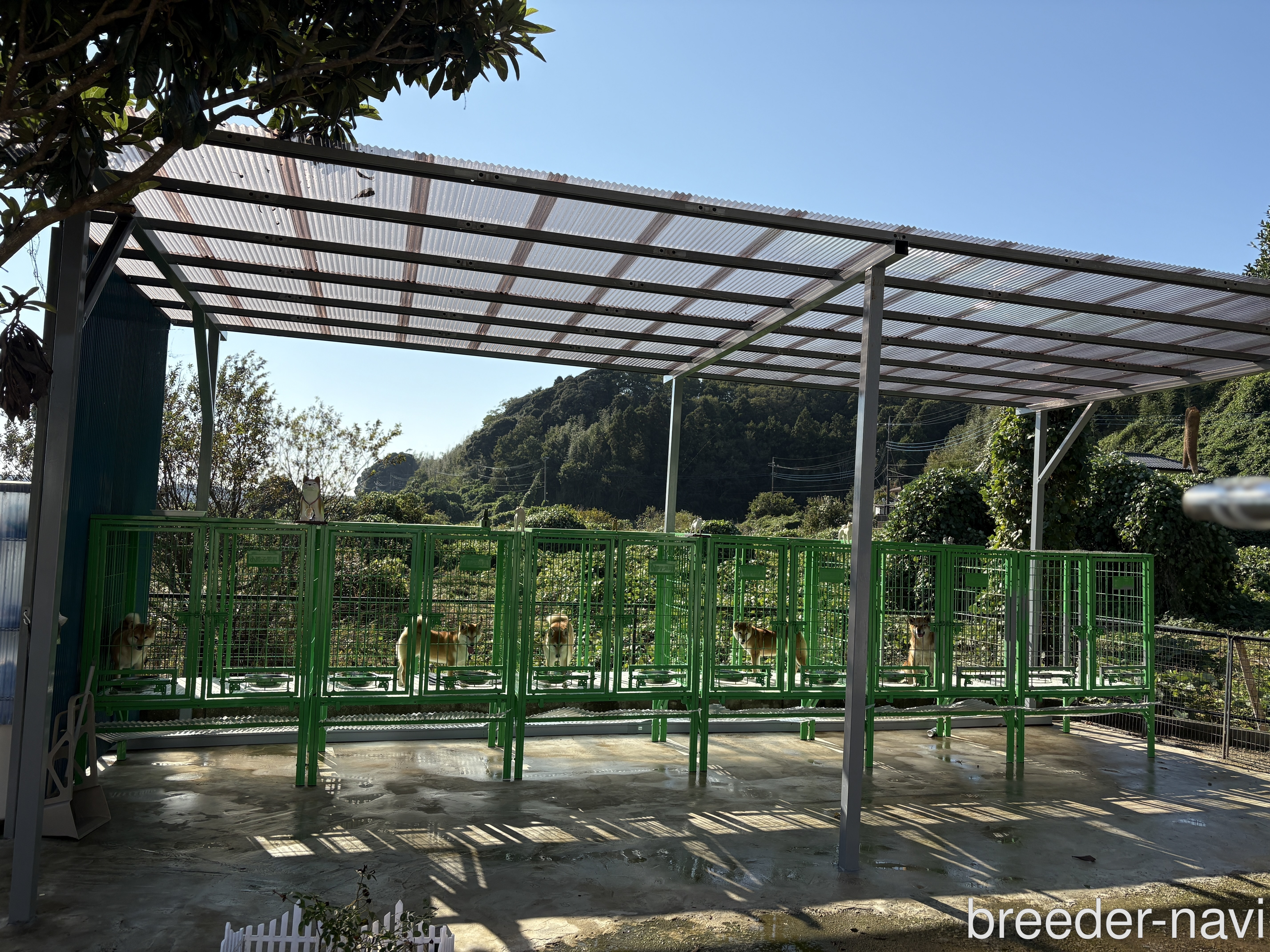 宮川ブリーダー