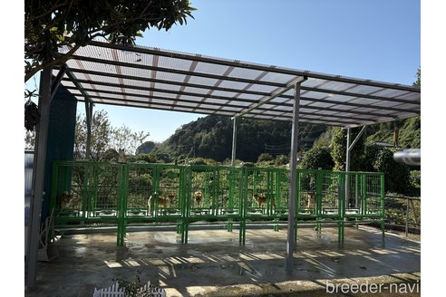 劉暁光ブリーダーの詳細