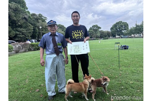 劉暁光ブリーダーの詳細