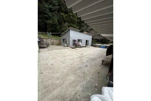 曾麗ブリーダーの詳細