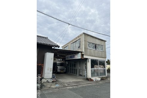 鈴木往子ブリーダーの詳細