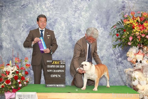 田中秀紀ブリーダーの詳細