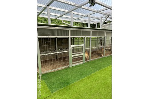 安宅真奈美ブリーダーの詳細