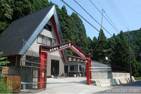 大江昇ブリーダーの詳細