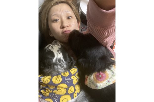 渡部友紀ブリーダーの詳細の1枚目