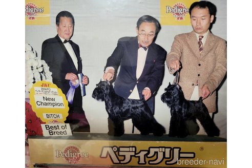 阪本恵己子ブリーダーの詳細