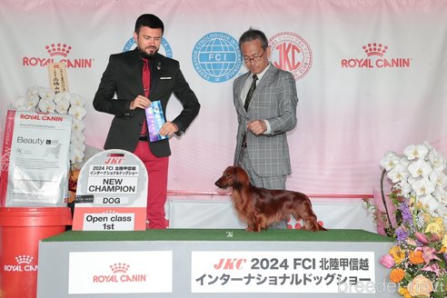 平田真琴ブリーダーの詳細