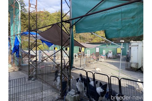 土井冨夫ブリーダーの詳細