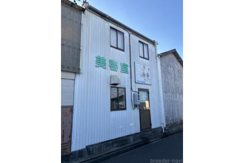 鈴木往子ブリーダーの詳細