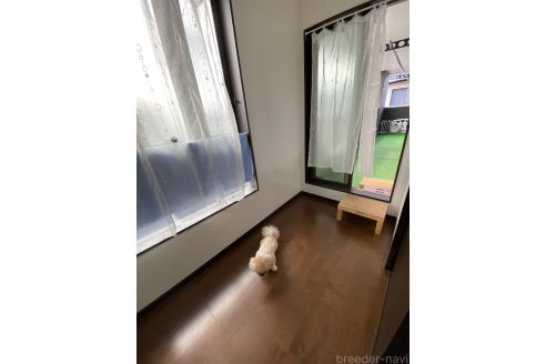 田中雅子ブリーダーの詳細