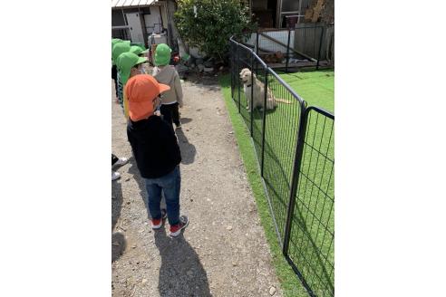 鳥塚昭源ブリーダーの詳細