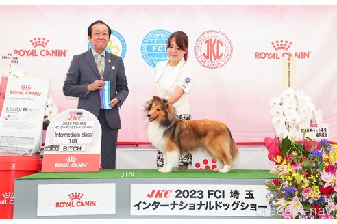 関口章子ブリーダーの詳細