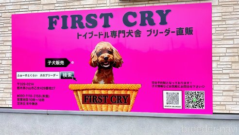 秋葉美雪ブリーダーの詳細