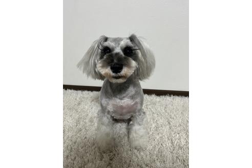 香山聡美ブリーダーの詳細の1枚目