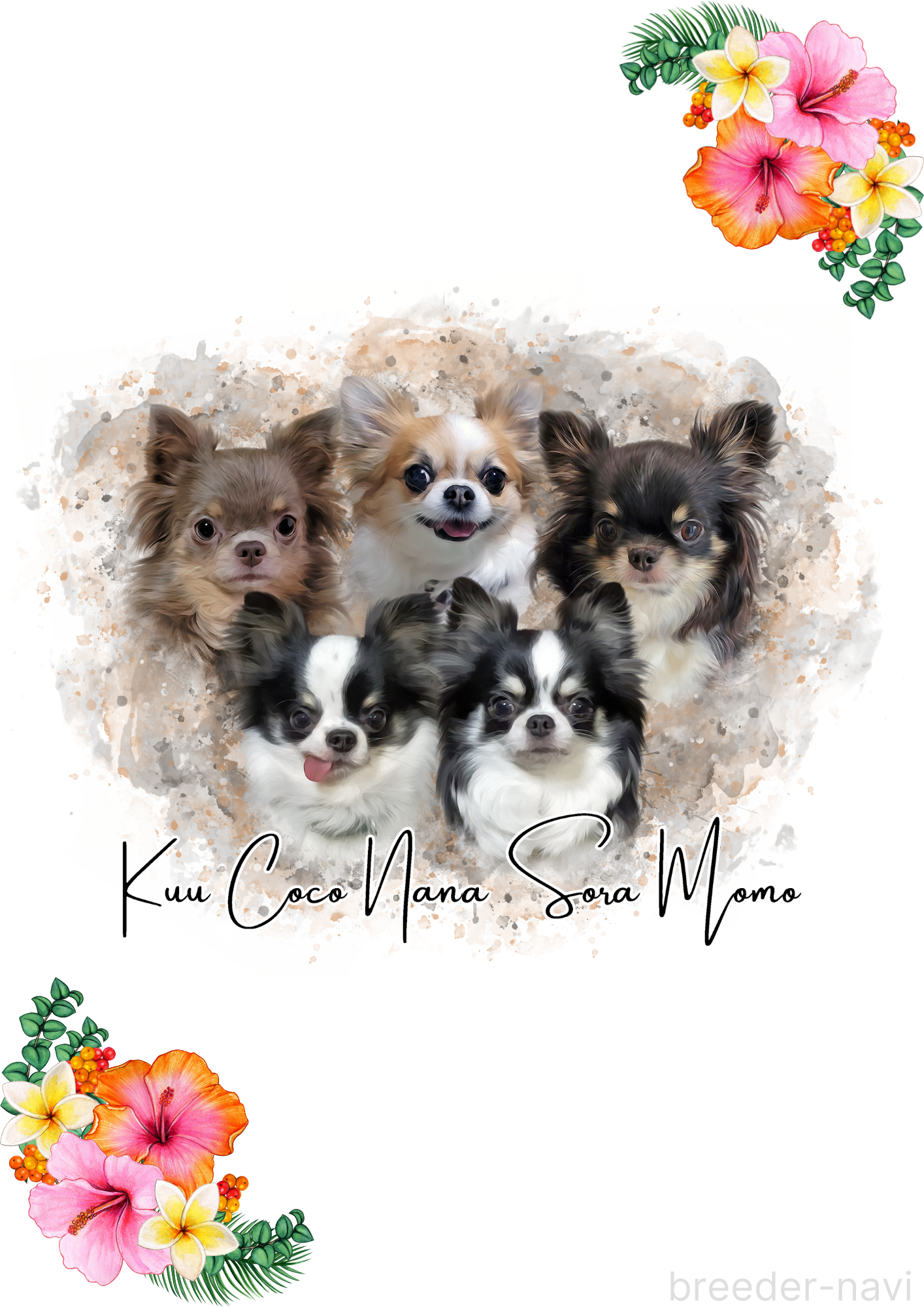 永澤ブリーダー