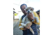 渡辺勝美ブリーダー