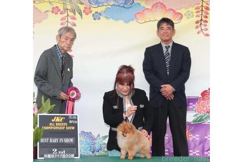 小川加代ブリーダーの詳細