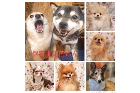 寺内みさをブリーダーの詳細