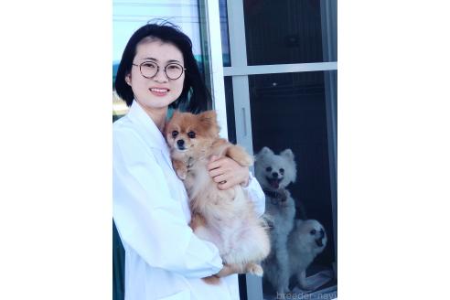 野村美智代ブリーダーの詳細