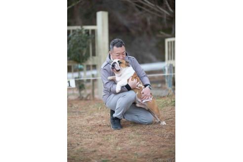 野田秀太郎ブリーダーの詳細の1枚目