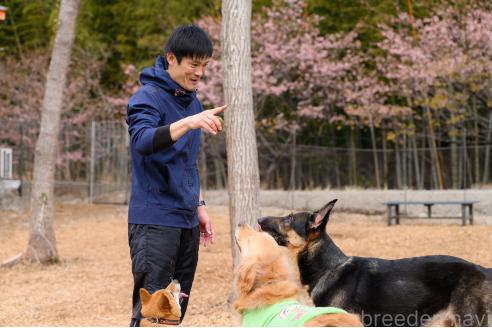 川村和久ブリーダーの詳細