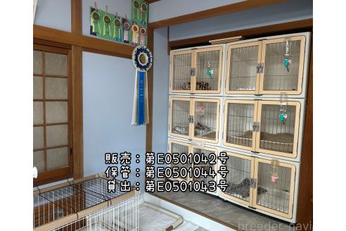 木下聖子ブリーダーの詳細