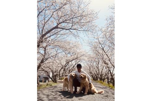 甲木青空ブリーダーの詳細の1枚目