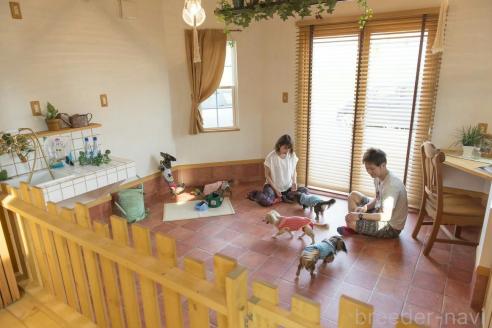 安藤良恵ブリーダーの詳細