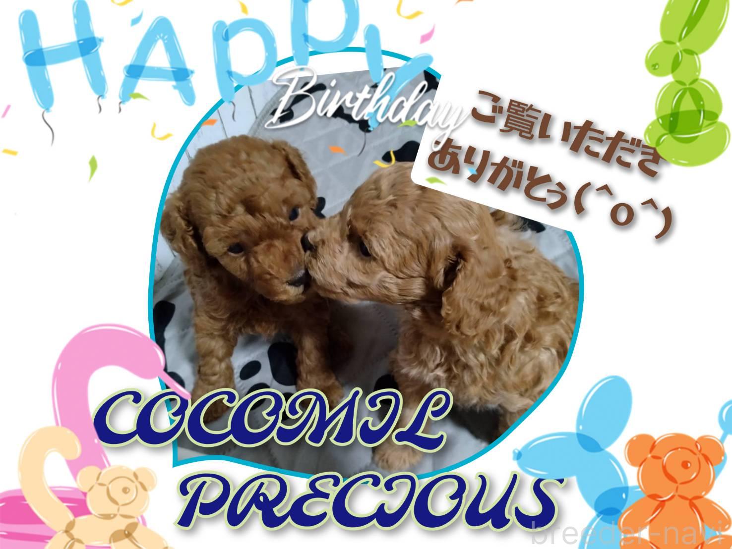 吉本ブリーダー