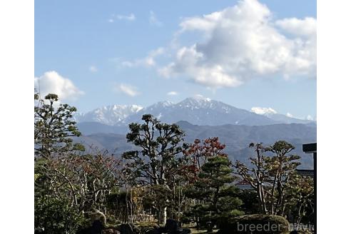 武田由美ブリーダーの詳細