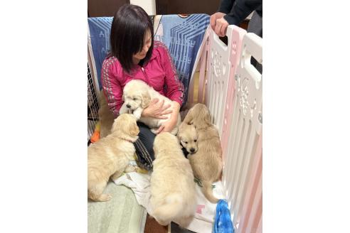 内藤則子ブリーダーの詳細の1枚目