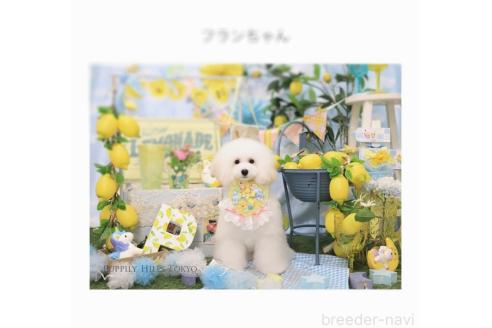 西村久美子ブリーダーの詳細