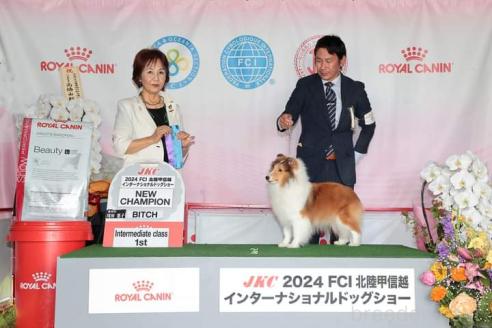 大澤由利香ブリーダーの詳細