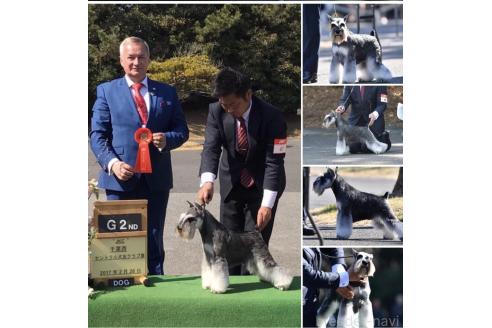 撫養香織ブリーダーの詳細